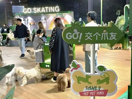丨宠物坐高铁侯毅下厨房开元棋牌实探派特鲜生(图4)