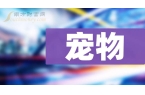 龙头股名单来啦这些值得关注！开元ky棋牌
